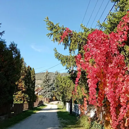 Balcsihaz Badacsony Holiday home *