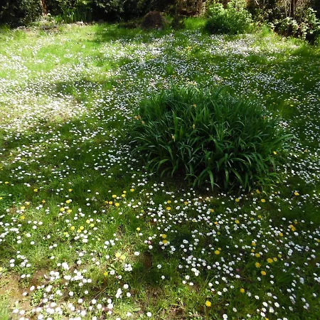 Balcsihaz Badacsony * Badacsonytomaj