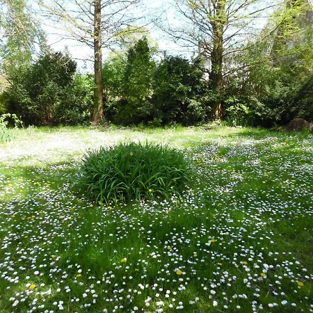 Balcsihaz Badacsony * Badacsonytomaj