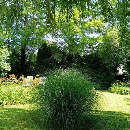 Balcsihaz Badacsony * Badacsonytomaj