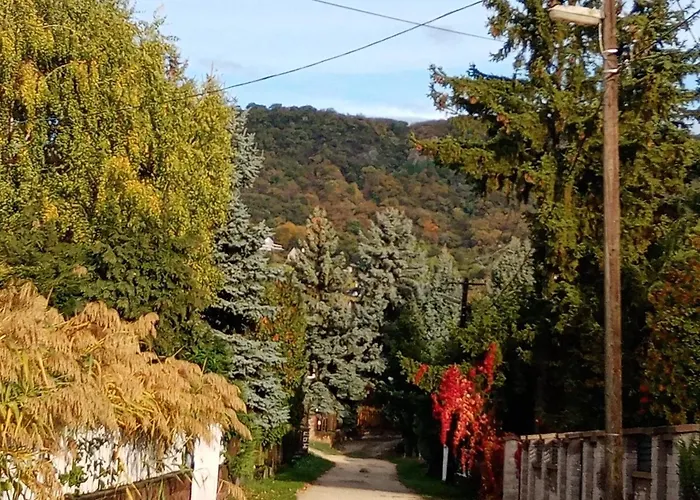 Balcsihaz Badacsony * Badacsonytomaj