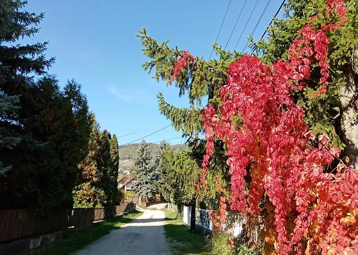 Balcsihaz Badacsony Prázdninový dům *