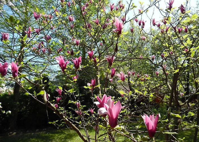 Prázdninový dům Balcsihaz Badacsony *