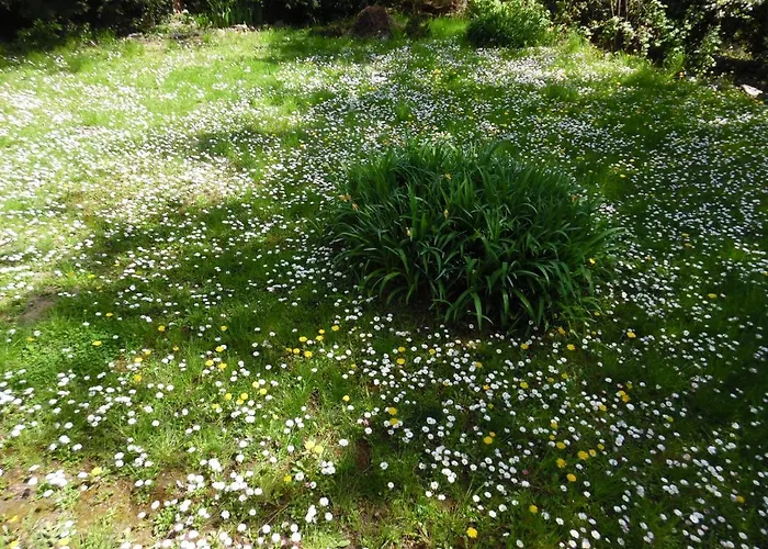 Balcsihaz Badacsony * Badacsonytomaj