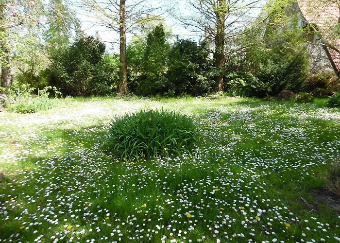 Balcsihaz Badacsony * Badacsonytomaj